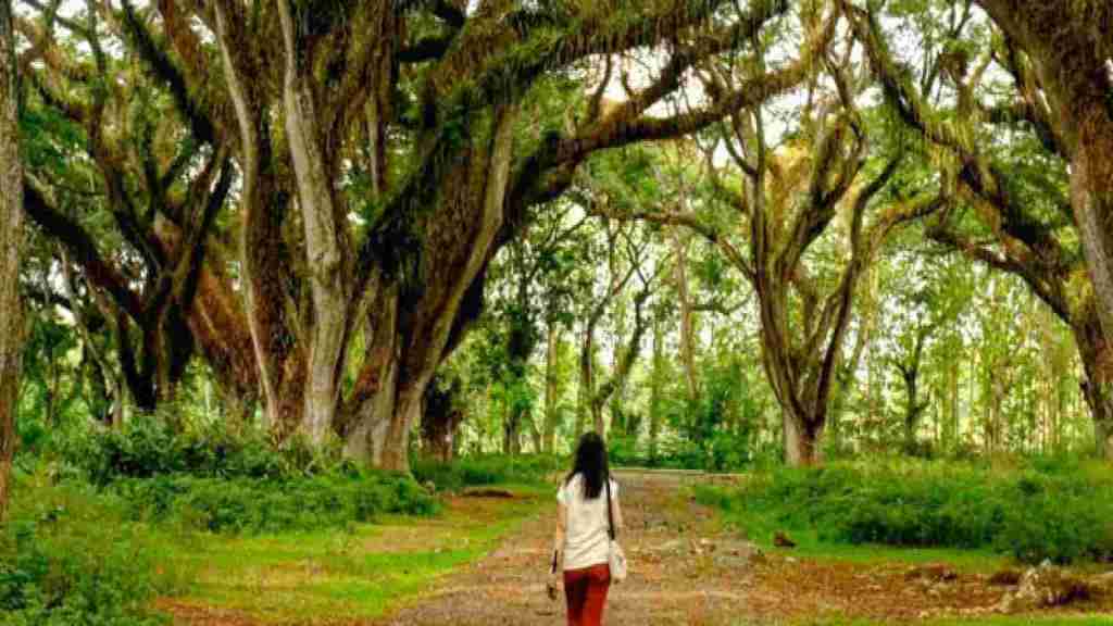 Paket Liburan ke Banyuwangi 2H1M Terbaik